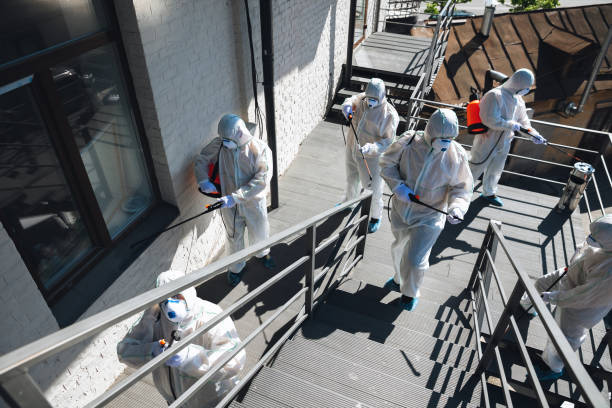 Best Asbestos and Lead Testing During Mold Inspection  in Denison, TX